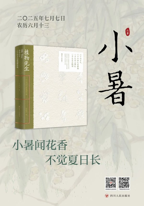 银泰证券 小暑闻花香 不觉夏日长