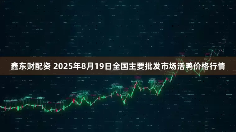 鑫东财配资 2025年8月19日全国主要批发市场活鸭价格行情
