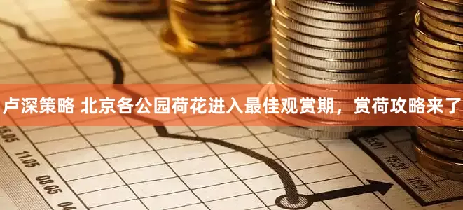 卢深策略 北京各公园荷花进入最佳观赏期，赏荷攻略来了